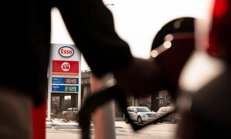 Drive gently and carry a loyalty card: ways to take the edge off high pump prices