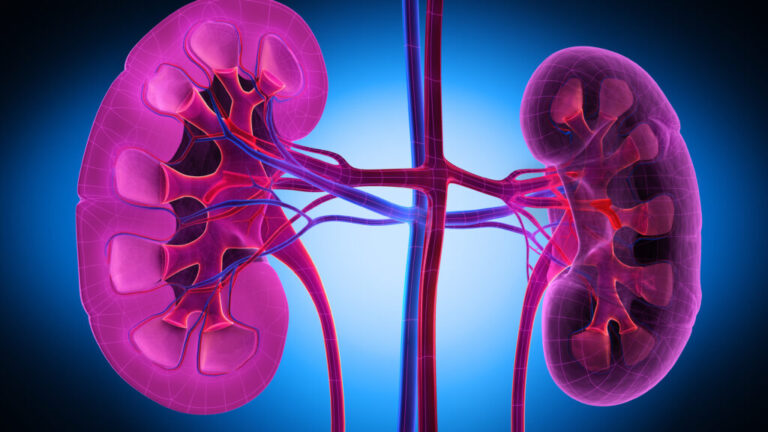 FDA approves Vera Therapeutics kidney disease treatment