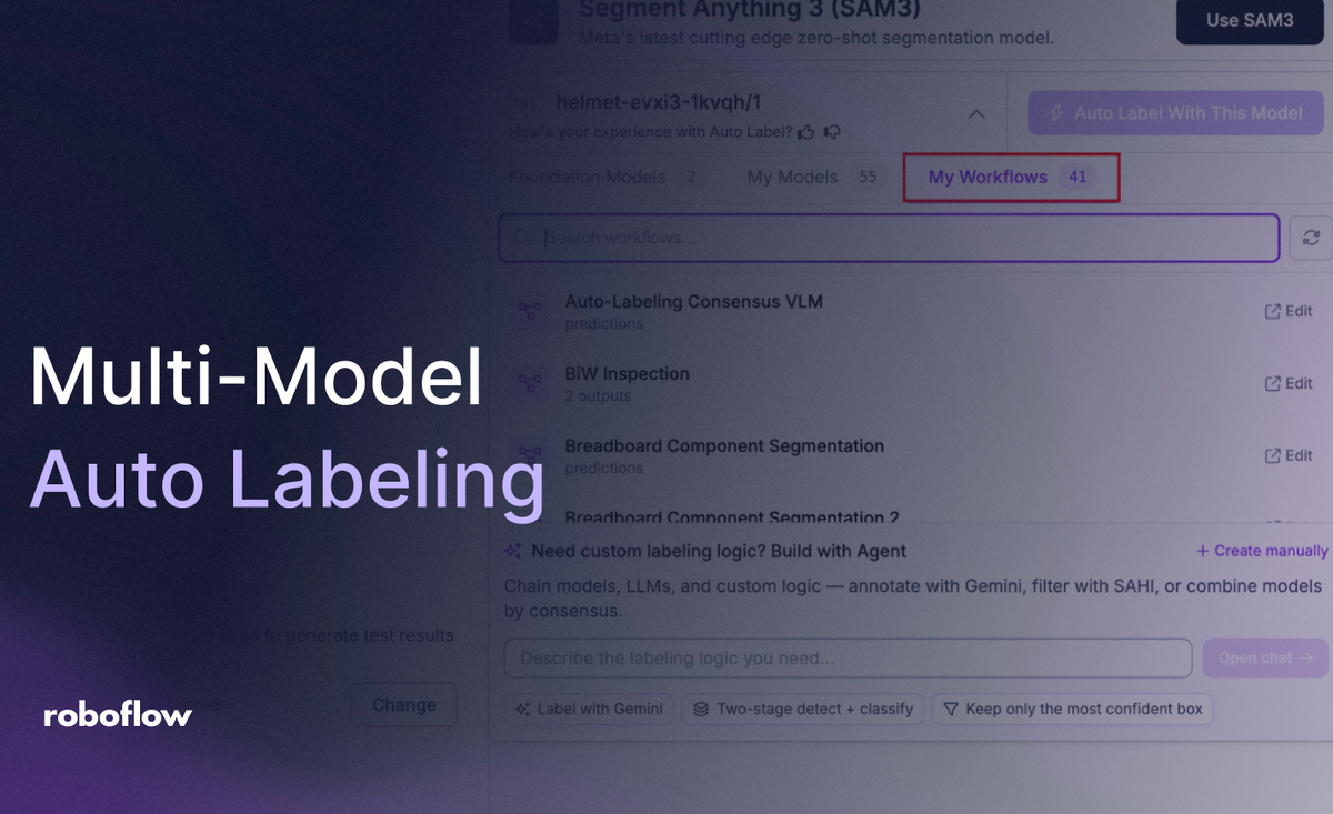 Multi-Model Auto Labeling with Roboflow Workflows